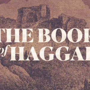 Haggai – Mark Donald